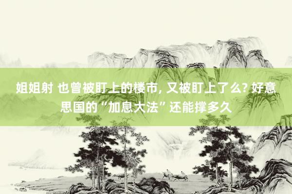 姐姐射 也曾被盯上的楼市， 又被盯上了么? 好意思国的“加息大法”还能撑多久