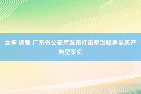 女神 调教 广东省公安厅发布打击整治收罗黑灰产典型案例