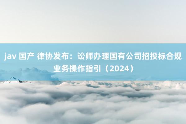 jav 国产 律协发布:讼师办理国有公司招投标合规业务操作指引(2024)