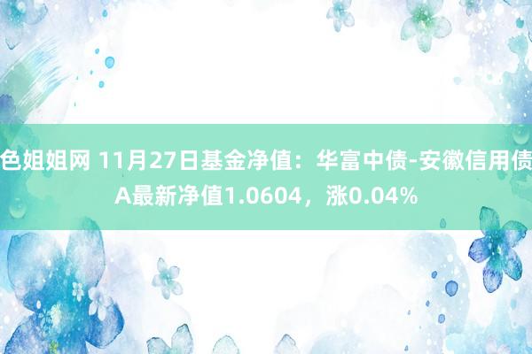 色姐姐网 11月27日基金净值：华富中债-安徽信用债A最新净值1.0604，涨0.04%