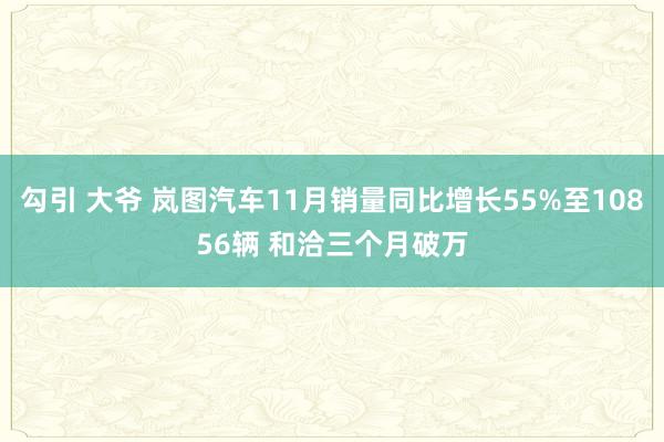 勾引 大爷 岚图汽车11月销量同比增长55%至10856辆 和洽三个月破万