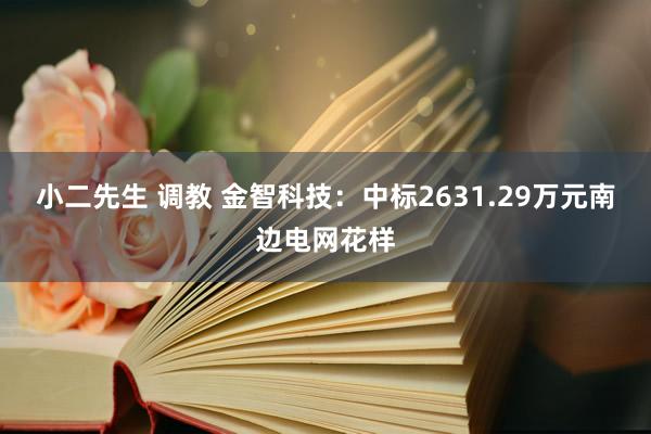 小二先生 调教 金智科技：中标2631.29万元南边电网花样