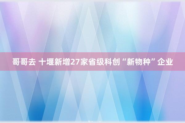 哥哥去 十堰新增27家省级科创“新物种”企业