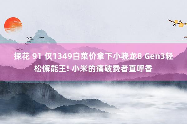 探花 91 仅1349白菜价拿下小骁龙8 Gen3轻松懈能王! 小米的痛破费者直呼香
