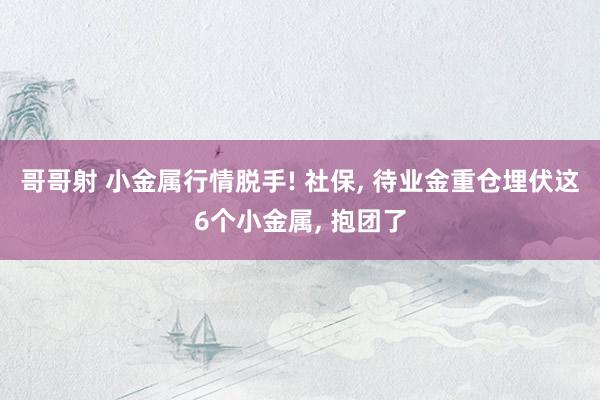 哥哥射 小金属行情脱手! 社保， 待业金重仓埋伏这6个小金属， 抱团了