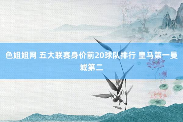 色姐姐网 五大联赛身价前20球队排行 皇马第一曼城第二