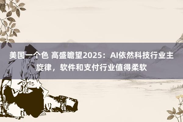 美国一个色 高盛瞻望2025：AI依然科技行业主旋律，软件和支付行业值得柔软