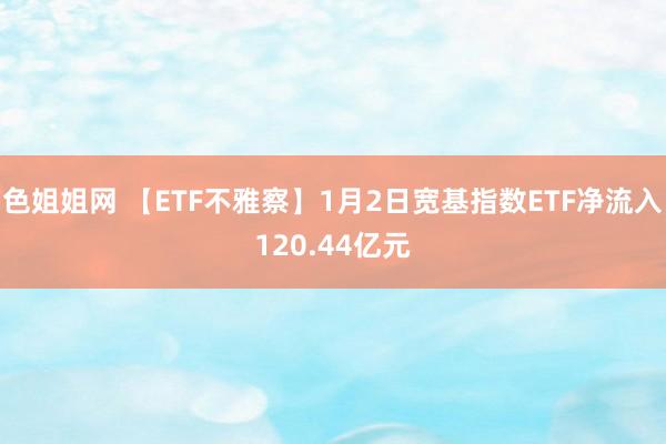色姐姐网 【ETF不雅察】1月2日宽基指数ETF净流入120.44亿元