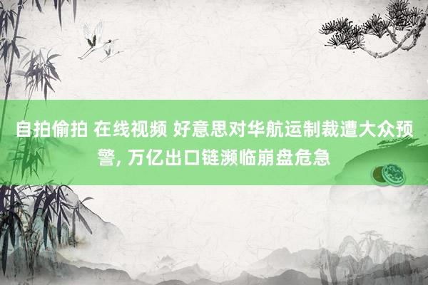 自拍偷拍 在线视频 好意思对华航运制裁遭大众预警， 万亿出口链濒临崩盘危急