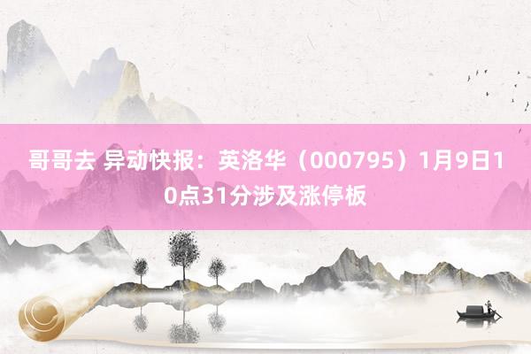 哥哥去 异动快报：英洛华（000795）1月9日10点31分涉及涨停板