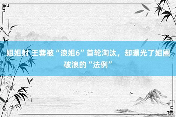 姐姐射 王蓉被“浪姐6”首轮淘汰，却曝光了姐圈破浪的“法例”