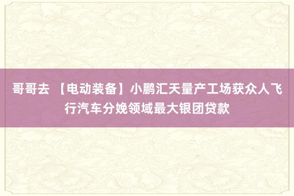 哥哥去 【电动装备】小鹏汇天量产工场获众人飞行汽车分娩领域最大银团贷款