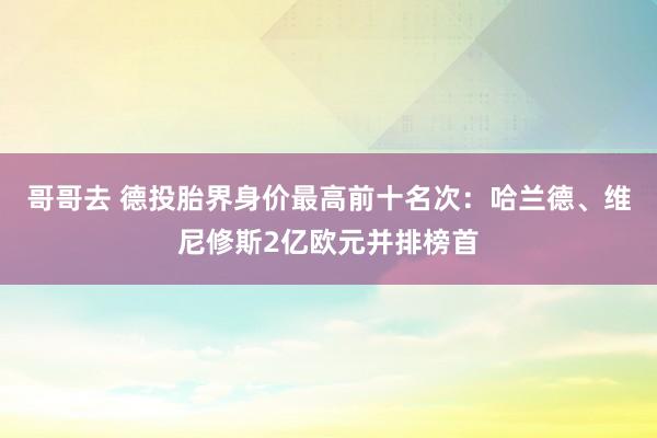 哥哥去 德投胎界身价最高前十名次：哈兰德、维尼修斯2亿欧元并排榜首