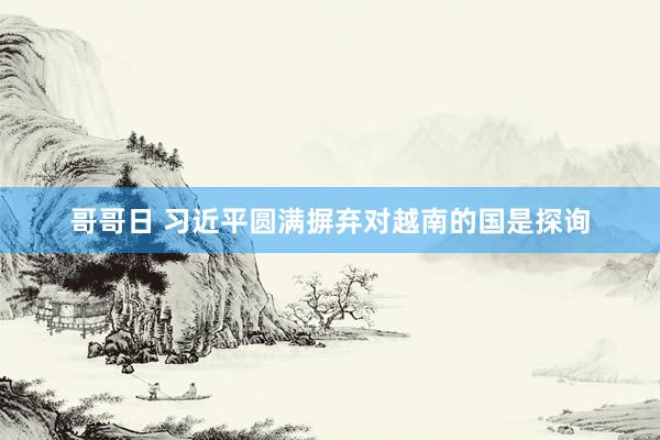 哥哥日 习近平圆满摒弃对越南的国是探询