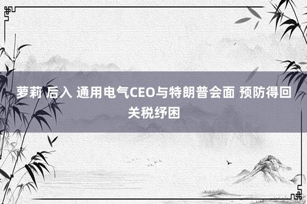 萝莉 后入 通用电气CEO与特朗普会面 预防得回关税纾困