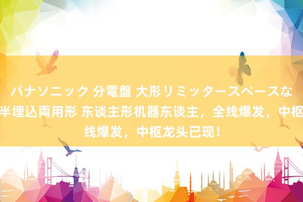 パナソニック 分電盤 大形リミッタースペースなし 露出・半埋込両用形 东谈主形机器东谈主，全线爆发，中枢龙头已现！