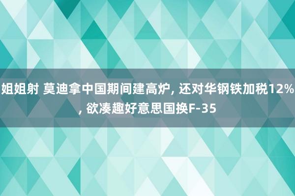 姐姐射 莫迪拿中国期间建高炉， 还对华钢铁加税12%， 欲凑趣好意思国换F-35
