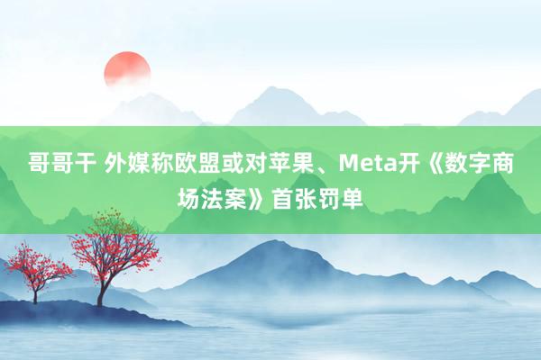 哥哥干 外媒称欧盟或对苹果、Meta开《数字商场法案》首张罚单